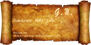 Gantner Máté névjegykártya