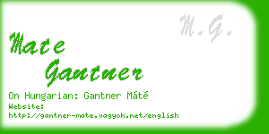 mate gantner business card